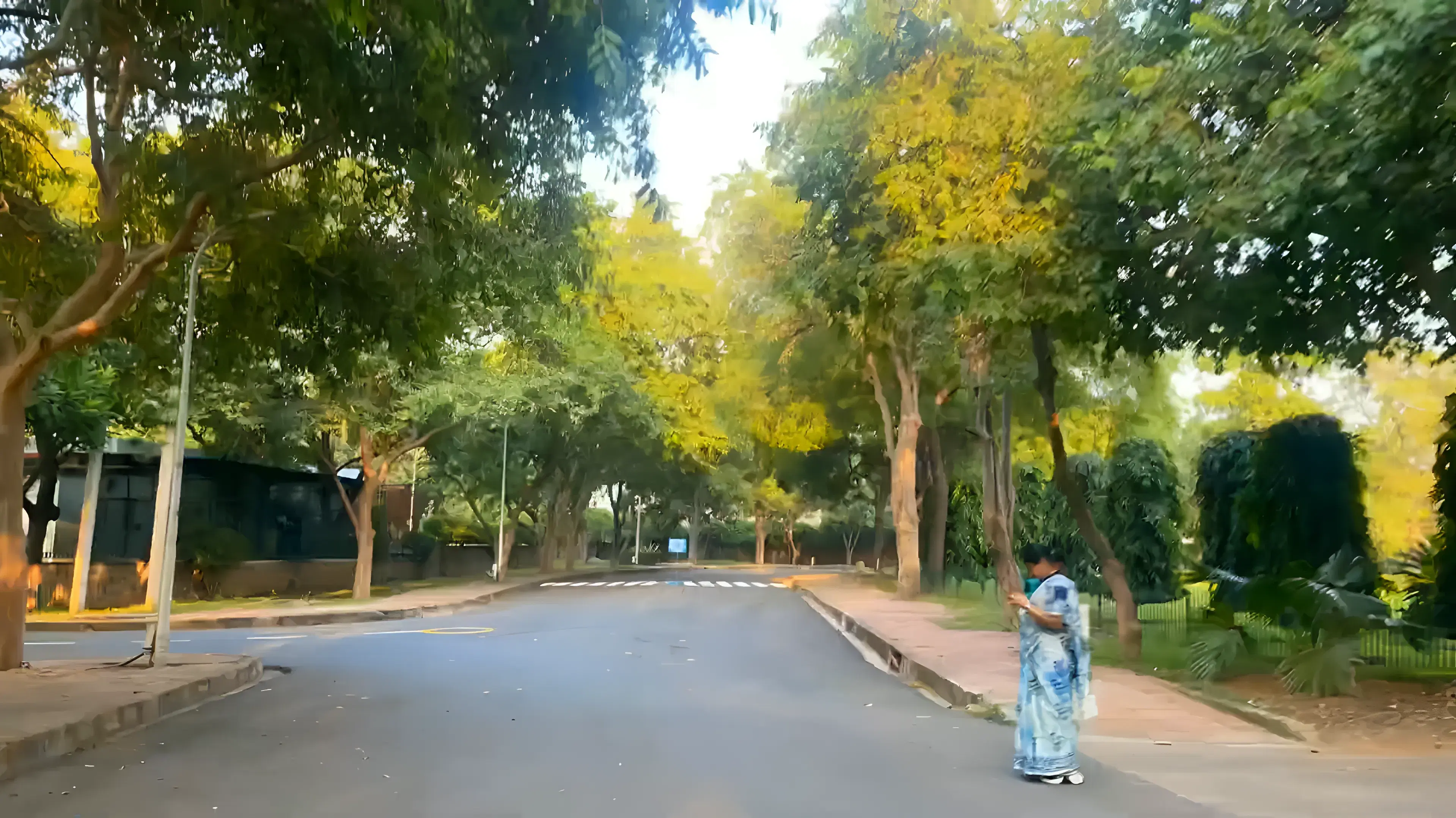 Department of Business Economics, Delhi University Campus photo 3